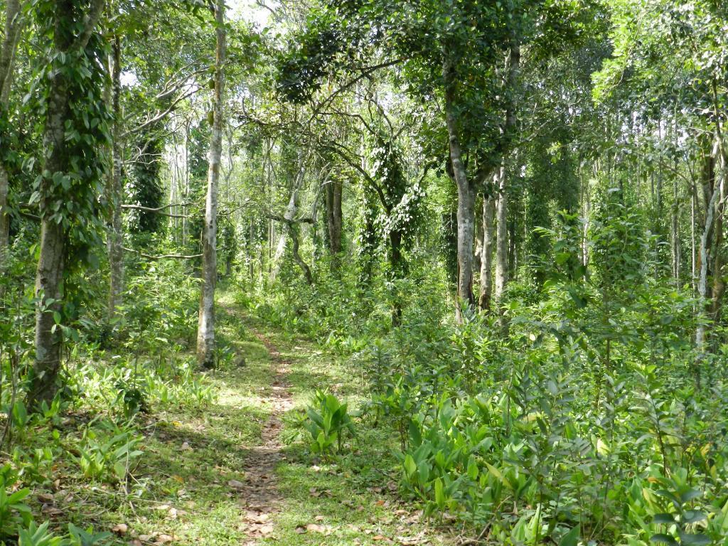 Elephant Valley Eco Farm Hotel Kodaikanal Εξωτερικό φωτογραφία