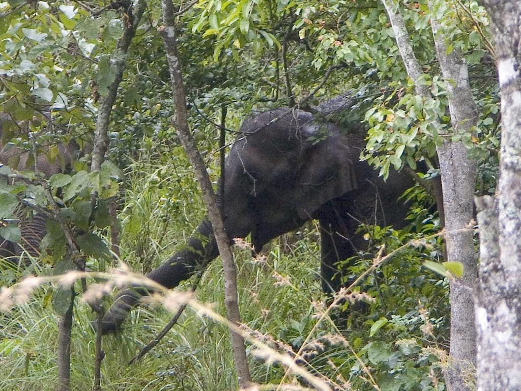 Elephant Valley Eco Farm Hotel Kodaikanal Εξωτερικό φωτογραφία
